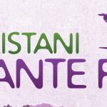 the-pakistani-at-santa-fe