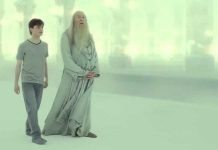 mentors harry potter dumbledore