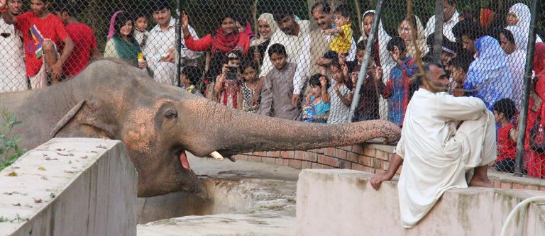 The Wildlife Experience Center