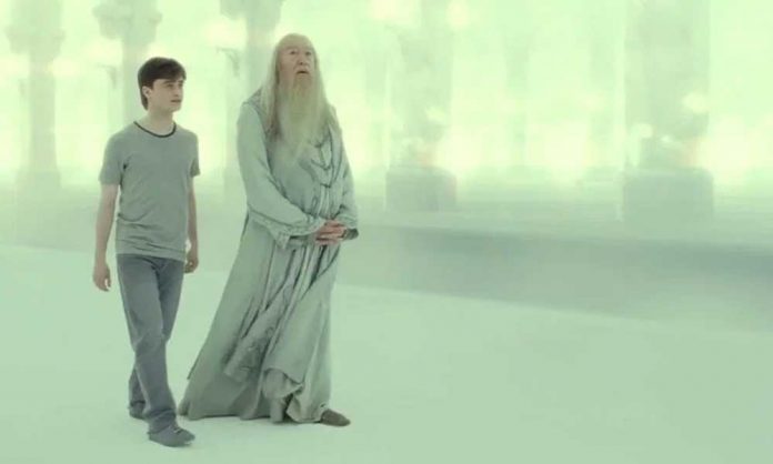mentors harry potter dumbledore