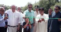 pakistan-mangroves