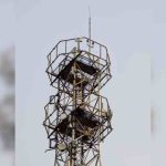 Jazz-DynaSys- Kickstart